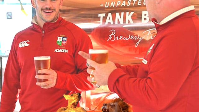 Republuica St Kilda British Lions v Wallabies watch the gamne and enjoy the fun aquare 2